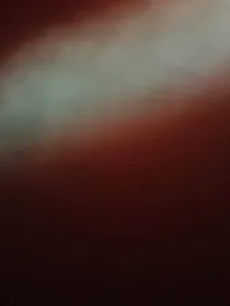 我只是个郎中