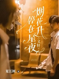 文轩：烟花升停在星夜