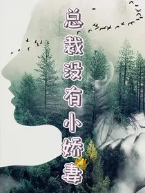 总裁没有小娇妻