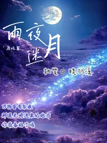 唐晓翼：雨夜迷月