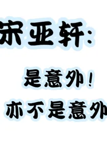 宋亚轩：是意外亦不是意外