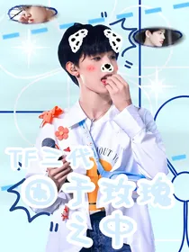 TF三代：困于玫瑰之中