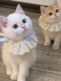春日灯