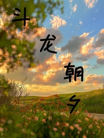 斗龙：朝夕