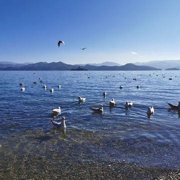 不要给陌生人开门