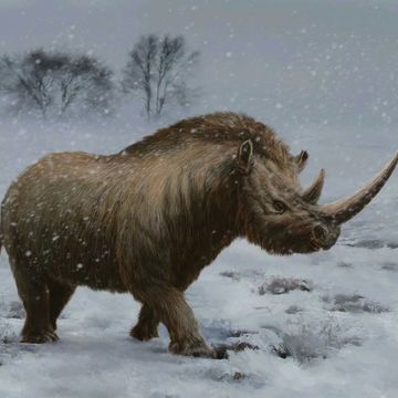 十万个为什么（二）