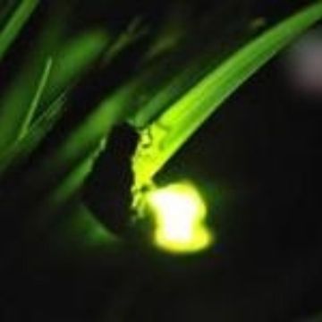 十万个为什么（四）