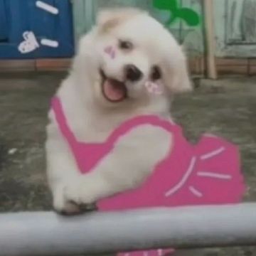 穿成自己笔下的修勾儿