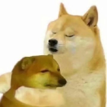 学校里面有什么①