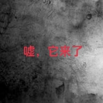 嘘，它来了
