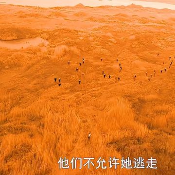 灵魂摆渡一一织女篇