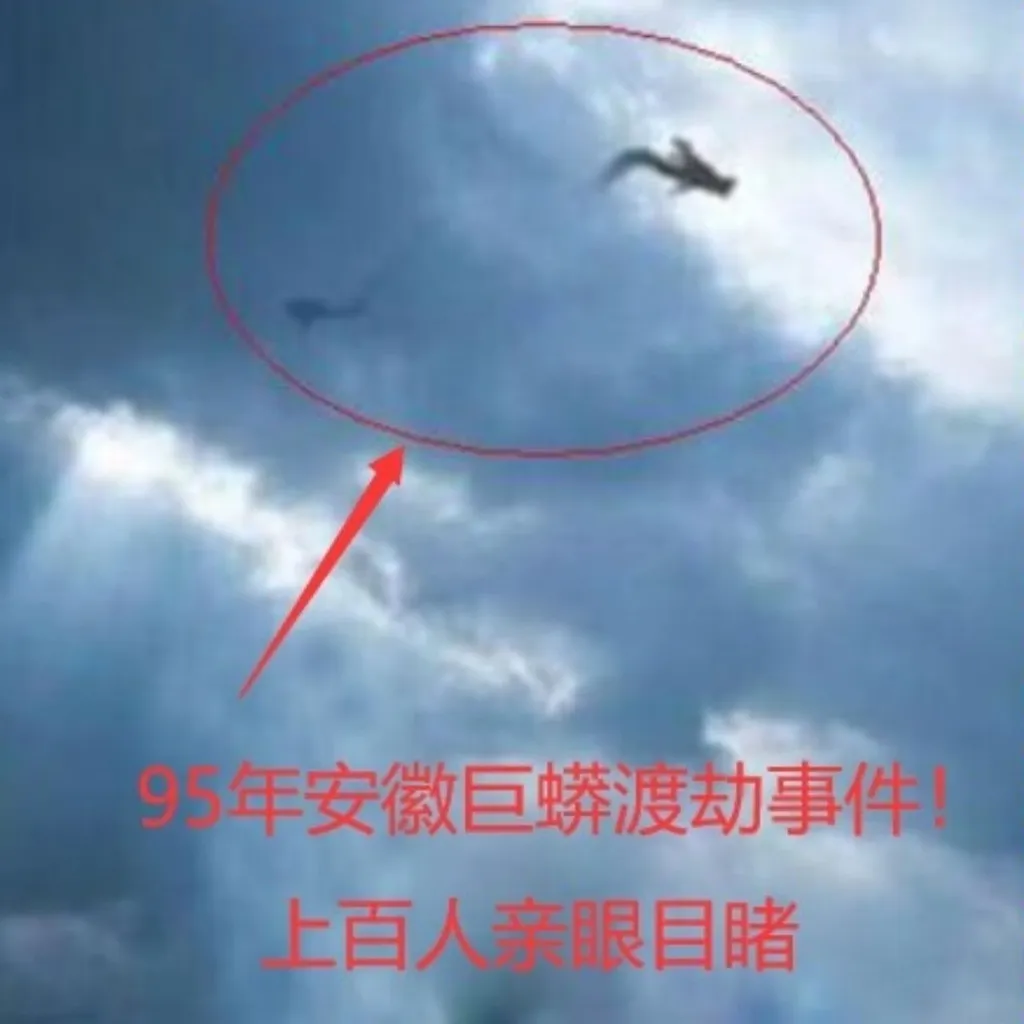 一九九五年安徽巨蟒渡劫，一九九五年安徽巨蟒渡劫事件