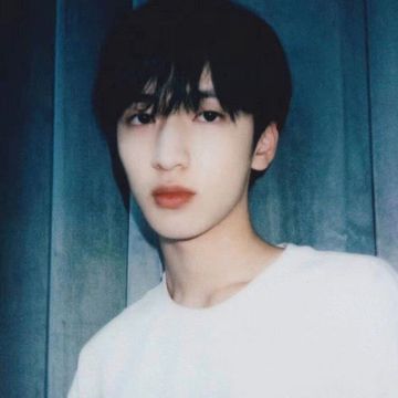 严浩翔×你 起风了(情书体)