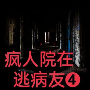 疯人院在逃病友4