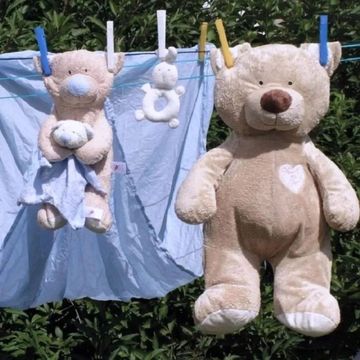 愿多年后你眼中的鲜活与纯粹，一如既往