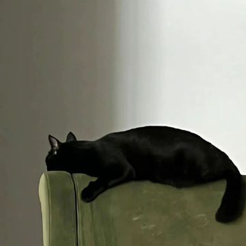 错过的电影最好看，直播的人最难忘