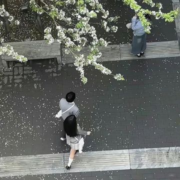 世界上有没有什么糖是苦的？有啊，他的喜糖