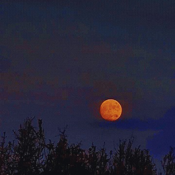 清雪（尘不到×闻时）