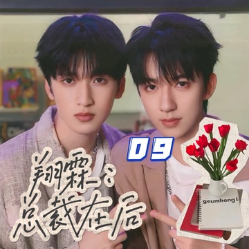 翔霖：总裁在后09