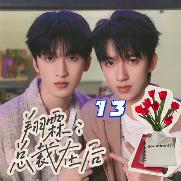 翔霖：总裁在后13