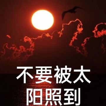 不要被太阳照到3