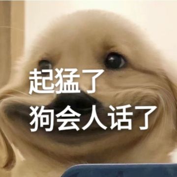 起猛了，我家狗会说人话(1)