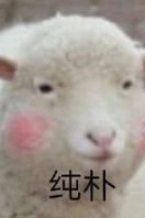 《让鬼给嫌弃了》