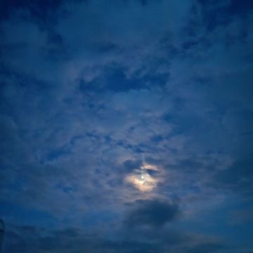 我和我的丢脸时刻6