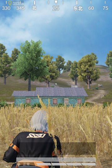 玩游戏的那些年11