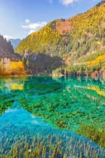 致自己的青春17