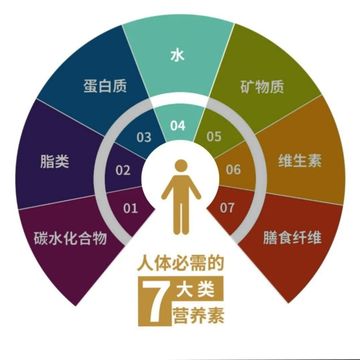 八大营养之水