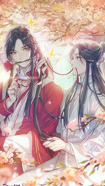 《谢怜花城对话日常4》