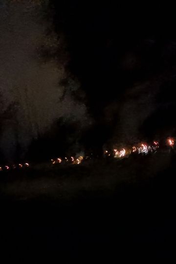 没标题，新人出