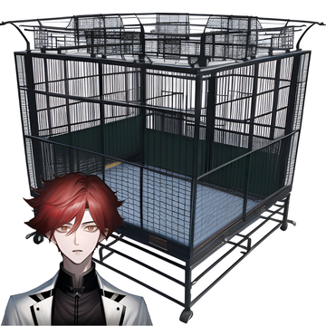 认知障碍患者14