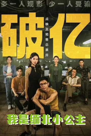 孤注一掷:拐卖后，我炸了缅北8