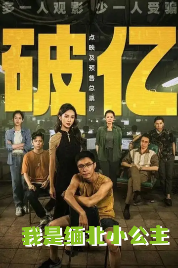 孤注一掷:拐卖后，我炸了缅北7