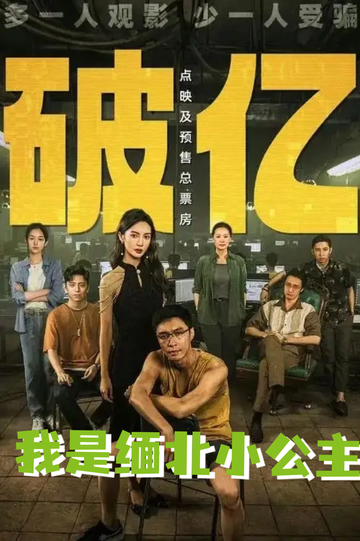 孤注一掷:拐卖后，我炸了缅北5