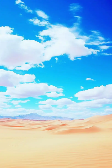 荒野求生，沙漠之行13