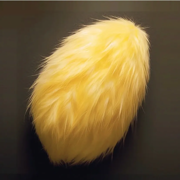 左滑看我的芒果核宝宝怎么变成芒果狗吧！