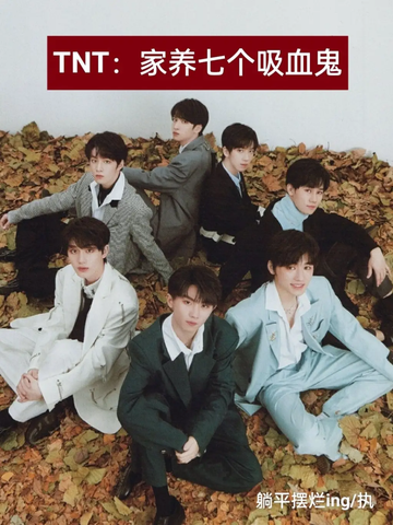 TNT：家养七个吸血鬼4