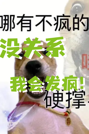 导师放我鸽子，我……2