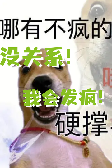 导师放我鸽子，我……3