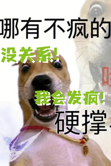 导师放我鸽子，我……5