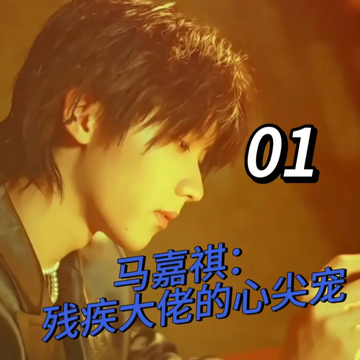 马嘉祺：残疾大佬的心尖宠1