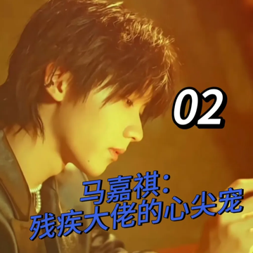 马嘉祺：残疾大佬的心尖宠2