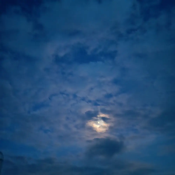 吐槽领导的奇葩行为2