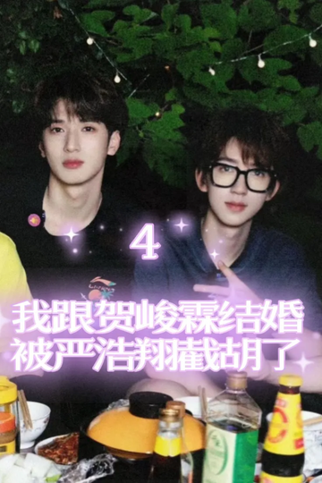 我跟贺峻霖结婚被严浩翔截胡了4