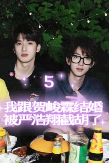 我跟贺峻霖结婚被严浩翔截胡了5