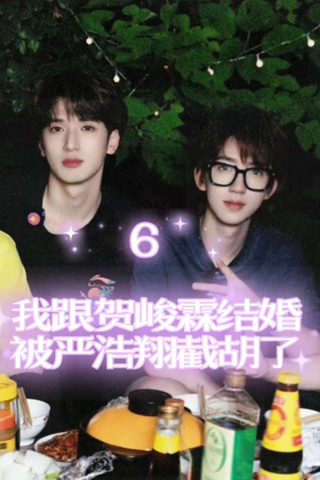 我跟贺峻霖结婚被严浩翔截胡了6