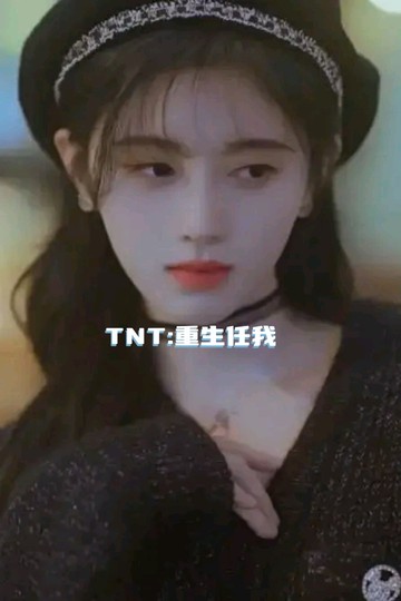 TNT:重生任我